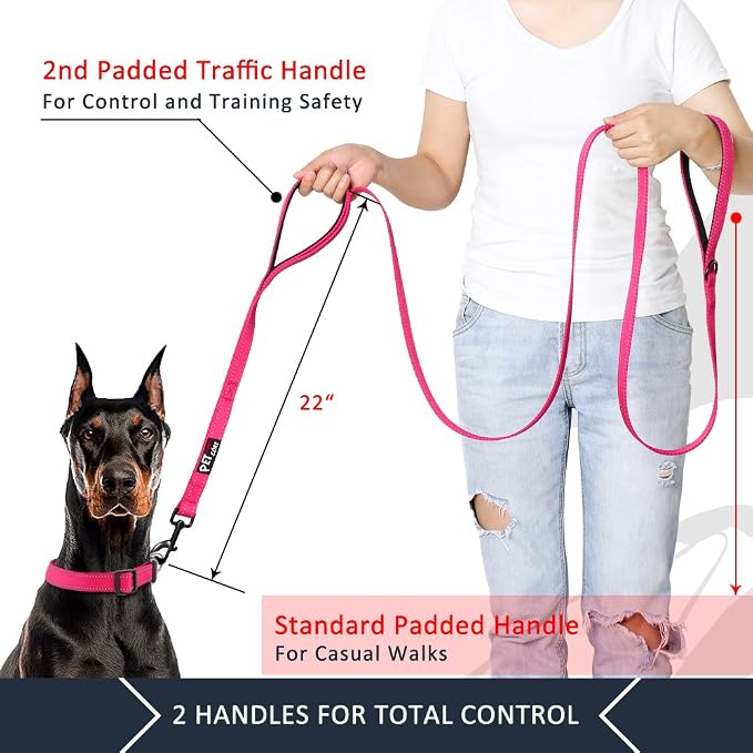 Plutus Pet Double Handle Dog Leash, 5 FT Long, for Medium Large Dogs | Reflective Nylon, Soft Padded 2 Handles, Heavy Duty for Training, Dual Handle Lead, 5 FT x 1”, Pink - Image 2