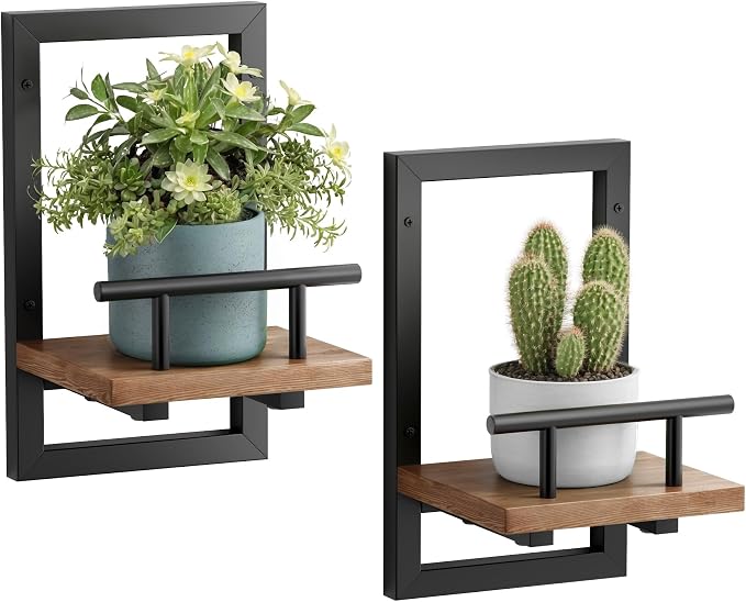 Sbosbo Floating Shelves for Wall Plant Shelf Indoor Wall Mounted Shelves | Wall Planters for Indoor Floating Plant Shelves for Bedroom, Living Room, Kitchen, Office, Bathroom Decor (2 Pack) by SBOSBO