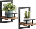 Sbosbo Floating Shelves for Wall Plant Shelf Indoor Wall Mounted Shelves | Wall Planters for Indoor Floating Plant Shelves for Bedroom, Living Room, Kitchen, Office, Bathroom Decor (2 Pack) by SBOSBO