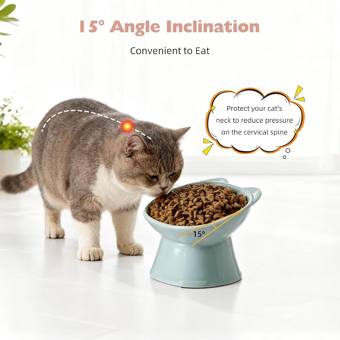 KSIA Klear Elevated Cat Bowls 2 Pack, Tilted Raised Cat Bowls for Indoor Cats, for Food and Water, 4.72" Wide, Whisker Friendly Anti Vomit for Indoor Cats, Microwave and Dishwasher Safe, Pink&Blue - Image 4