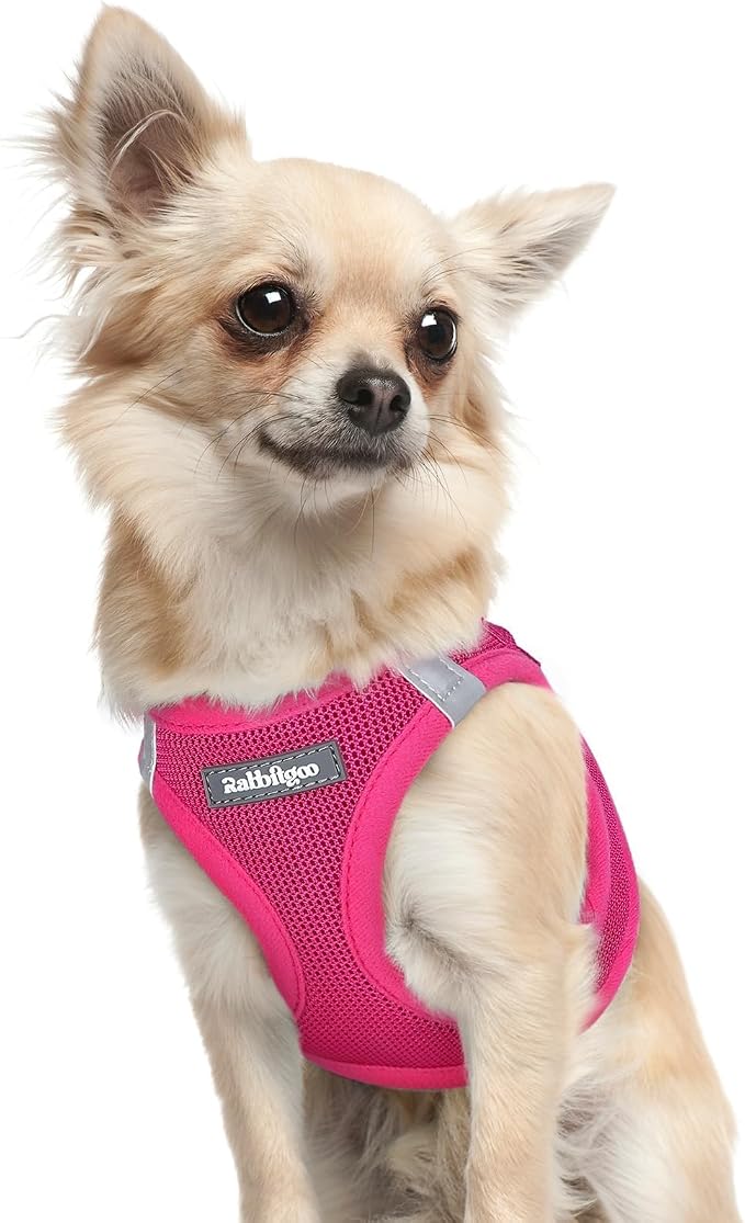 rabbitgoo Step-in Small Dog Harness, Puppy Vest for Small Sized Pet | Easy Put on and off, Lightweight, Soft, Breathable Quick-Dry Air Mesh for Comfortable Secure Walking, Rose Red XXXS by rabbitgoo