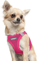 rabbitgoo Step-in Small Dog Harness, Puppy Vest for Small Sized Pet | Easy Put on and off, Lightweight, Soft, Breathable Quick-Dry Air Mesh for Comfortable Secure Walking, Rose Red XXXS by rabbitgoo