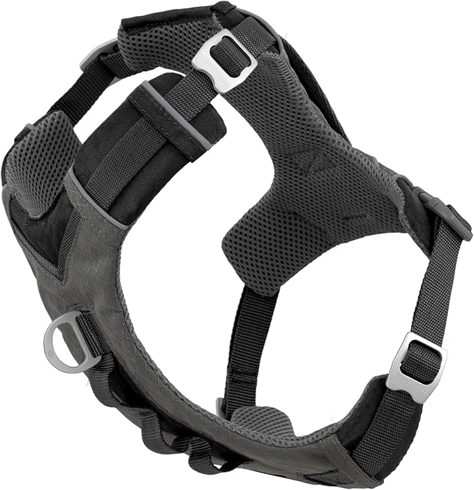 Kurgo Journey Air Dog Harness, Black, Medium | Padded Chest, Ripstop Outer & Breathable Mesh, Back Assist Handle, Rust-Free Aluminum Hardware, Reflective Trim by Kurgo