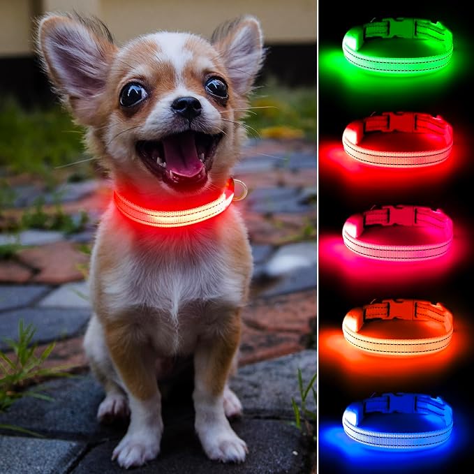 Light Up Dog Collar for Small Dogs - Rechargeable LED Cat Collar, Adjustable Reflective Puppy Collar Glowing Safety Dog Lights for Night Walking (Red) by DOMIGLOW