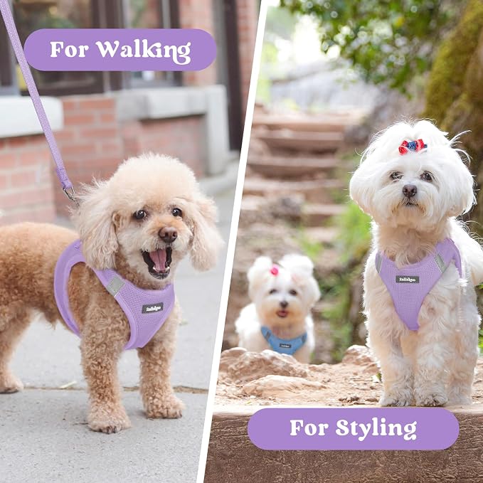 rabbitgoo Step-in Small Dog Harness, Puppy Vest for Medium Sized Pet | Easy Put on and off, Lightweight, Soft, Breathable Quick-Dry Air Mesh for Comfortable Secure Walking, Light Purple XXL - Image 9
