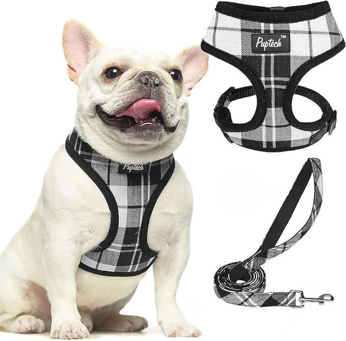 PUPTECK Small Dog Harness and Leash Set No Pull for XS XXS Sized Dogs Puppy | Escape Proof No Choke Pet Cat Adjustable Soft Padded Walking Vest by PUPTECK