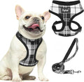 PUPTECK Small Dog Harness and Leash Set No Pull for XS XXS Sized Dogs Puppy | Escape Proof No Choke Pet Cat Adjustable Soft Padded Walking Vest by PUPTECK