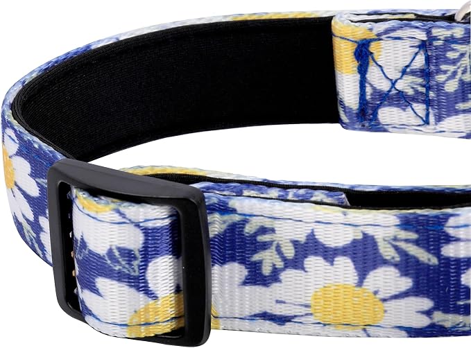 Reflective Dog Collar, Adjustable Neoprene Padded,Small Daisies Blue,M | Breathable Nylon for Medium Dogs,Tear-Resistant Webbing,Chafe‑Free on Walks and Hikes,Metal D-Ring,Night Safety - Image 5