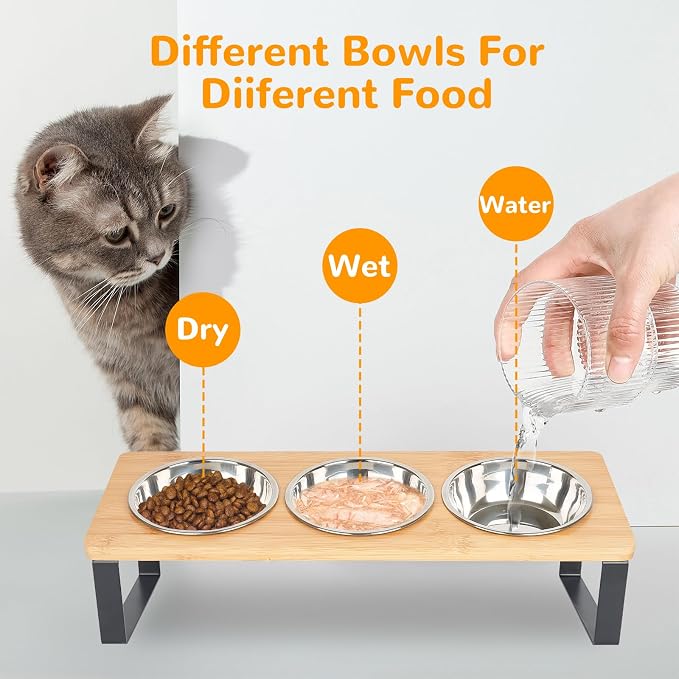 Elevated Cat Bowls with 3 Stainless Steel, 15° Tilted Raised Cat Bowl Set, for Indoor Cats for Small Cats and Puppies Pet Bowls with Stand - Image 5