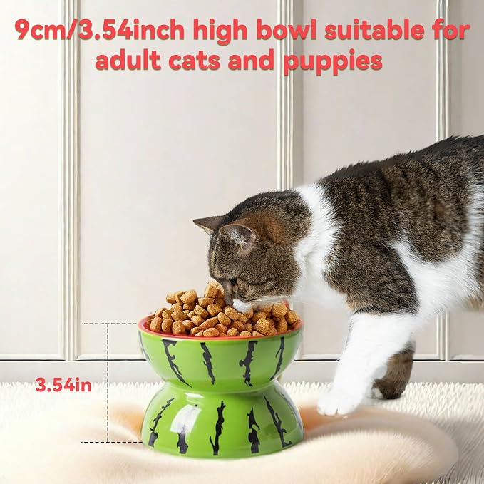 Elevated Cat Bowl Ceramic Raised Cat Food Water Bowls for Indoor Kitten | 5.2In Tilted Anti Vomiting Slow Feeder Cat Dishes, Whisker Friendly, Cute Watermelon Design - Image 3