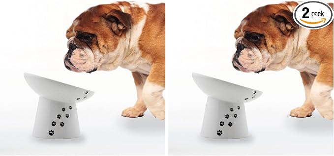 Necoichi Raised Dog Food Bowl, Elevated, for Dogs and Cats, Pets Feeding Feeder Non-Slip for Small Dogs Dishwasher and Microwave Safe, No.1 Seller in Japan! (Dog, Extra Wide Tilted) (Pack of 2) by NECOICHI