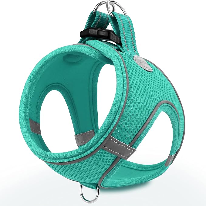 Joytale Step-in Dog Harness, Soft Breathable Mesh, Teal XXS | Adjustable Fit for Small Dogs, Easy Step-in with Secure Fastener, Even Chest Pressure, Reflective For Night Safety, Washable by Joytale