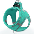 Joytale Step-in Dog Harness, Soft Breathable Mesh, Teal XXS | Adjustable Fit for Small Dogs, Easy Step-in with Secure Fastener, Even Chest Pressure, Reflective For Night Safety, Washable by Joytale