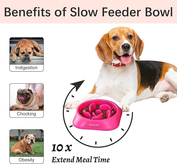MateeyLife 2-Pack Slow Feeder Dog Bowls, 2 Cups, Dog Puzzle Feeder Bowl | Food-contact safe, dishwasher safe, non-slip base, maze design, for fast eaters, for dogs and cats, daily mealtimes - Image 2