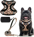 PUPTECK Dog Harness and Leash Set Small Sized, Step in No Pull Adjustable Puppy Cat Harness Reflective Pet Vest by PUPTECK