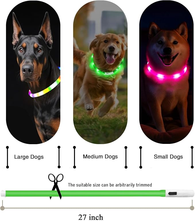 Light Up Dog Collar, Rechargeable Glowing Dog Collar, Light Dog Collar for Night Walking with 1640 FT of Visibility - Brightest LED Dog Collar Light, 3 Flashing Modes, Keeps Your Pets Safe in The Dark - Image 2
