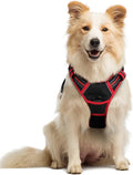 rabbitgoo Dog Harness, No Pull Medium Sized with 2 Leash Clips, Pet Vest | No Choke with Handle, Adjustable Soft Padded, Reflective, Easy Control for Walking, Black & Red, Medium by rabbitgoo