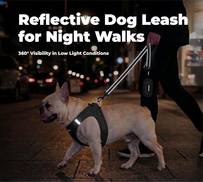 Best Pet Supplies Voyager Nylon Dog Leash - Black, Large | 5ft in Length, 1" in Width, Reflective, Soft Neoprene Handle, Heavy Duty Metal Clips for Running, Walking & Training - Image 4
