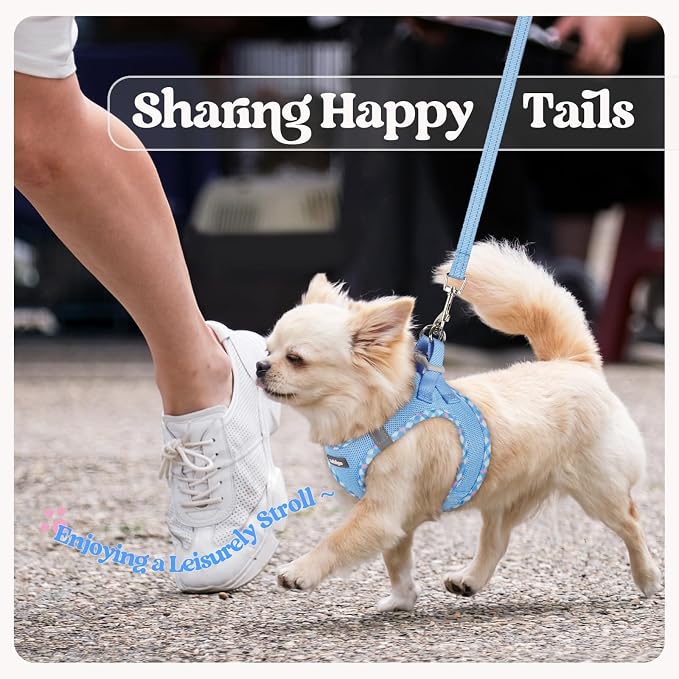 rabbitgoo Dog Harness Small Sized and Leash Set, Step-in Puppy Pet Vest | Light, Soft, Breathable Air Mesh, Easy on and Remove with Hook & Loop, Secure Reflective for Walking, Blue & Plaid Trim M - Image 9