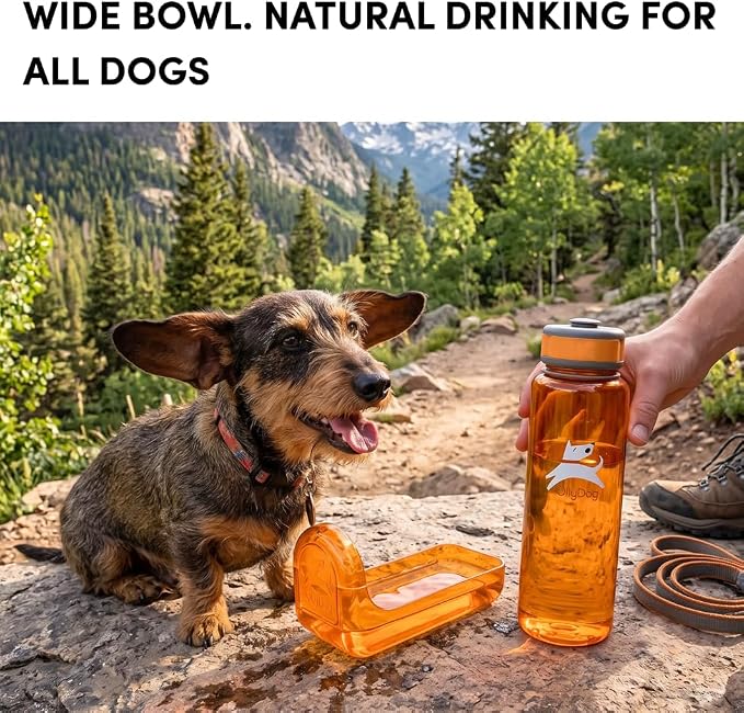 OllyDog OllyBottle | Tritan Dog Water Bottle with Detachable Bowl | BPA Free Leakproof Pet Dispenser | Hiking Travel (1L, Flame) - Image 4