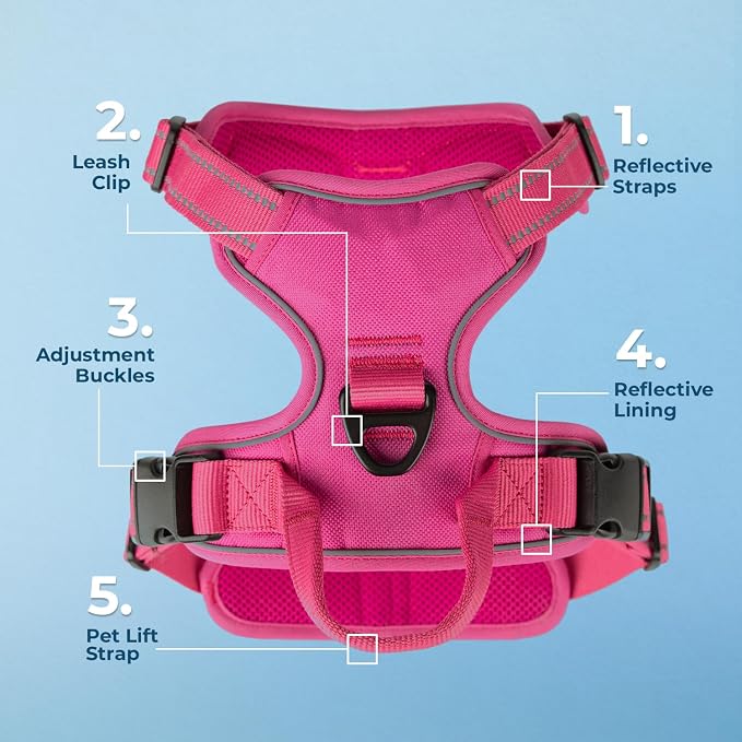 Voyager Dog Harness Dual Leash Attachment No-Pull Control Adjustable Soft but Strong Pet Harness for Medium and Large Dogs with 3M Reflective Technology, Leash Set Fuchsia Nylon, L (Chest: 25-30") - Image 6