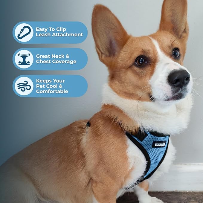 Voyager Step-in Lock Dog Harness - Baby Blue/Black Trim, X-Small | 13 - 16" in Chest, Adjustable, Breathable Air Mesh, Lightweight for Daily Walks, Strong Clips, Heavy Duty D-Ring - Image 3