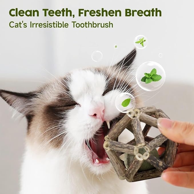 Potaroma Catnip Toys, 3Pcs Cat Toys Natural Silvervine Stick Cage Balls & Bell Ball for Indoor Cats, Kitten Cleaning Teeth Molar Matatabi Cat Chew Toy All Breeds | Kitten Cleaning Teeth Molar Matatabi Cat Chew Toy for Indoor Cats All Breeds with Bell - Image 4