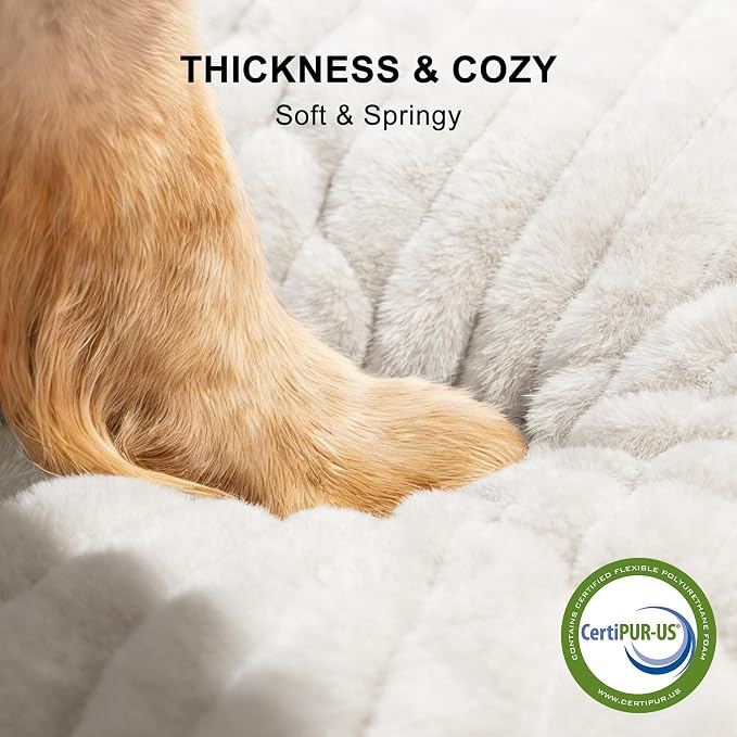 FURTIME Dog Bed for Small Medium Dog, Washable Orthopedic Pet Bed with Removable Cover, Rectangle Soft Calming Sleeping Puppy Bed Durable Pet Cuddler with Anti-Slip Bottom, Cream, M (25"x21"x7") - Image 8