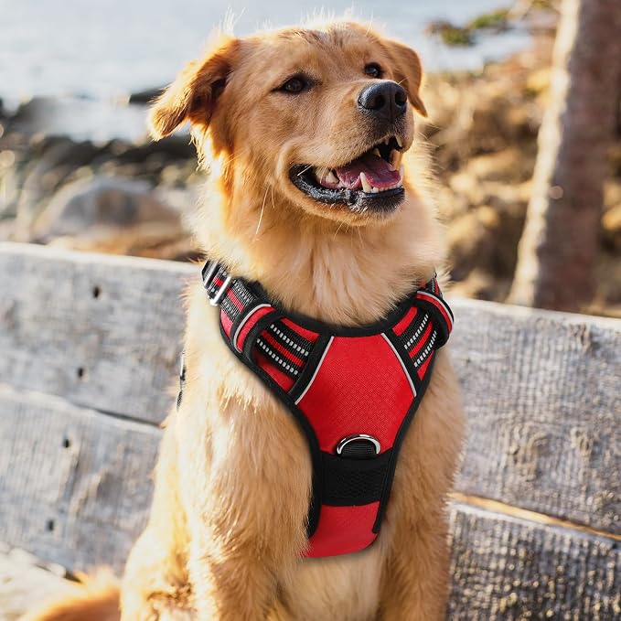 rabbitgoo Dog Harness for Large, No Pull 3 Buckles Easy On & Off | Soft Padded, Walking with Control Handle, Adjustable and Reflective, Red, X-Large - Image 8