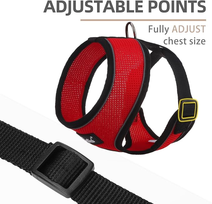 PUPTECK Small Dog Harness and Leash Set No Pull for XS XXS Sized Dogs Puppy | Escape Proof No Choke Pet Cat Adjustable Soft Padded Walking Vest - Image 3