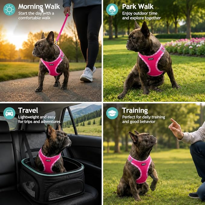 AMTOR Small Dog Harness with Leash Set, No Escape Easy Walk Puppy Harnesses for Training Walking, Step-in Reflective Soft Dogs Vest for XS S Medium Extra-Small Large Sized Dog(Fuchsia,XS) - Image 4