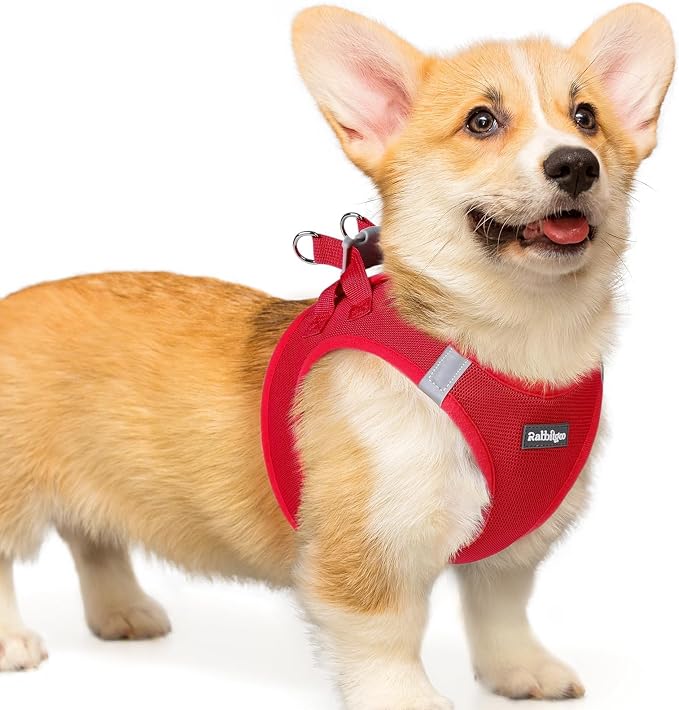 rabbitgoo Step-in Small Dog Harness, Puppy Vest for Small Medium Sized Pet | Easy Put on and off, Lightweight, Soft, Breathable Quick-Dry Air Mesh for Comfortable Secure Walking, Red L by rabbitgoo