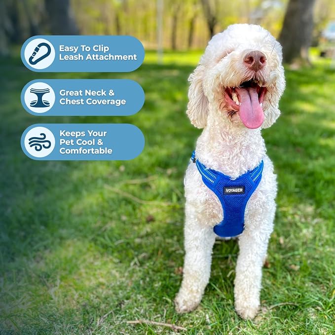 Best Pet Supplies Voyager Adjustable Step-in Flex Breathable Mesh Dog Harness for Small Medium Large Dogs Leash Set (Royal Blue), XS - Image 5