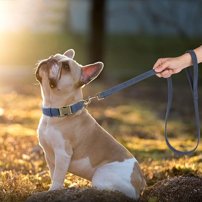 Didog PU Leather Dog Leash for Small Dogs, 5/8in x 4ft, Blue | Soft Grip Full Control, Easy Clean, Metal D-ring for Poop Bag Holder, Tangle-Free 360° Swivel Clasp, for Walking & Training - Image 2