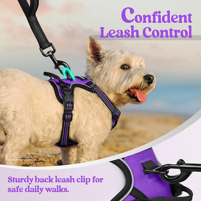 rabbitgoo Dog Harness No Pull with 2 Leash Clips, Adjustable Soft Padded, Reflective Oxford No Choke Pet Vest with Easy Control Handle for Puppy, Purple,XS | No Choke with Handle, Adjustable Soft Padded, Reflective, Easy Control for Walking, Purple, X-... - Image 6