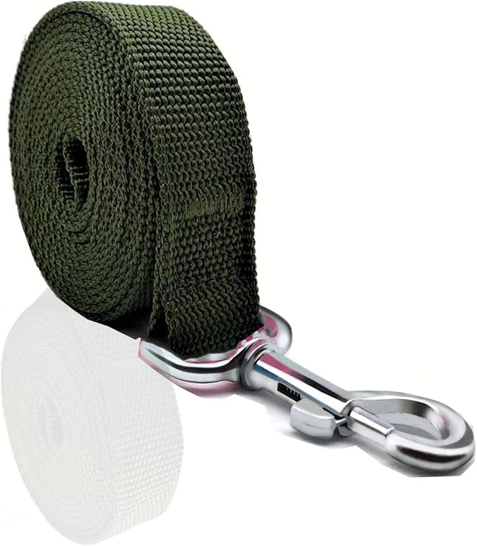 Nylon Dog Leash 4 Ft 5 Feet 6 Foot Long, Walking Training Dog Leashes for Medium Large Dogs, 1 Inch Wide (1" X 5 ft, Green) - Image 2