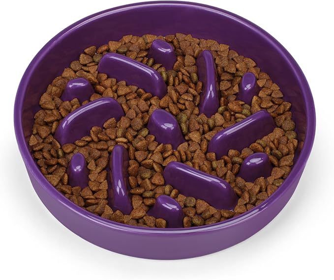 Ceramic Slow Feeder Dog Bowl, 2 Cups Maze Puzzle Dish to Slow Down Eating | Premium Ceramic Material with Anti-Slip Design, Suitable for Small, Medium and Large Breed Dogs Daily Feeding - Image 2