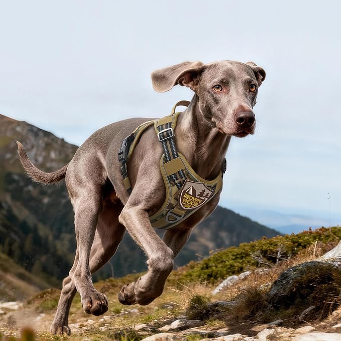 rabbitgoo Tactical Dog Harness for Large Dogs, No Pull Service Pet Vest | Military Molle System & Easy Control Handle, Adjustable and Reflective for Walking and Training, Desert Camo, Large - Image 9