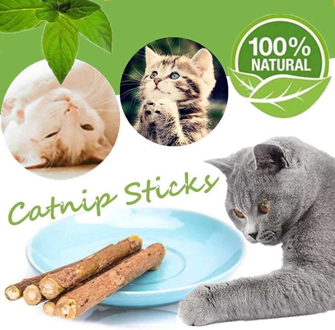 10 PCS Catnip Sticks Organic Cat Chew Toys Natural Plant Matatabi Silvervine Chew Sticks Teeth Cleaning Chew Toy Kitten Kitty - Image 3