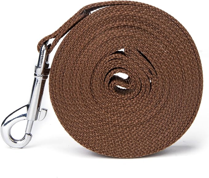 Strong Durable Nylon Dog Training Leash, 1 Inch Wide Traction Rope, 6 ft 10ft 15ft Long, for Small and Medium Dog (Brown, 10 Feet) - Image 6