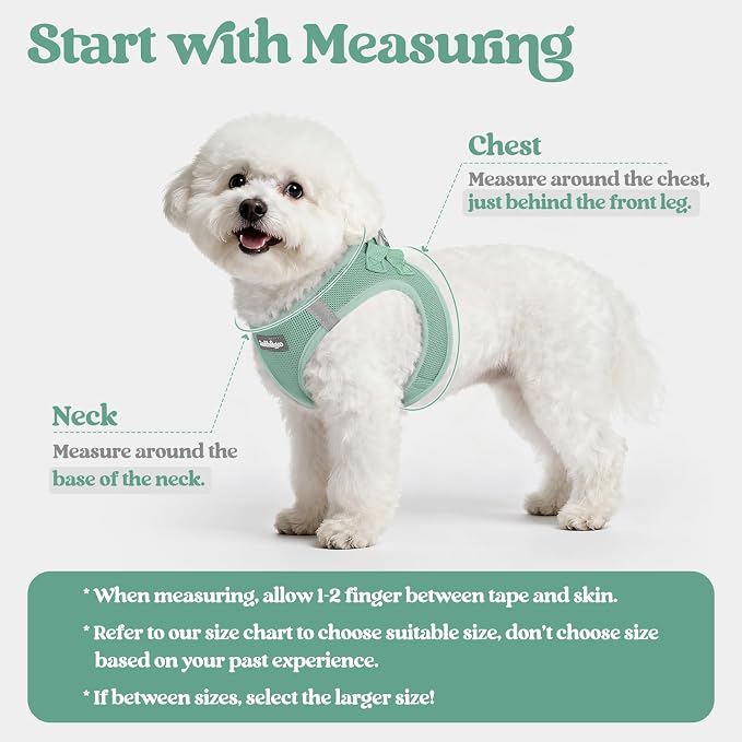 rabbitgoo Dog Harness Small Sized and Leash Set, Step-in Puppy Pet Vest | Light, Soft, Breathable Air Mesh, Easy on and Remove with Hook & Loop, Secure Reflective for Walking, Moss Green S - Image 2