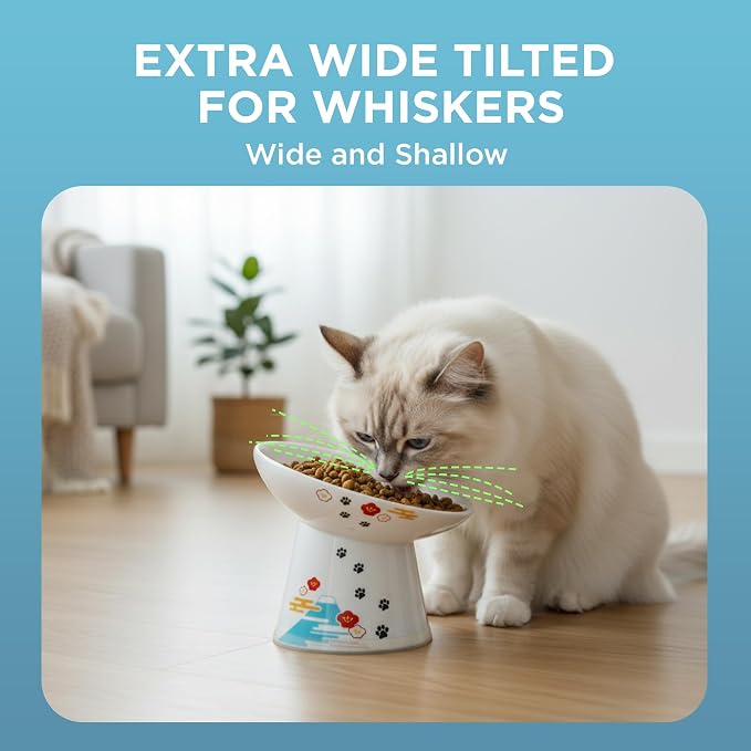 Necoichi Ceramic Raised Cat Food Bowl, 15° Tilted (Fuji, Extra Wide Tilted) - Image 4
