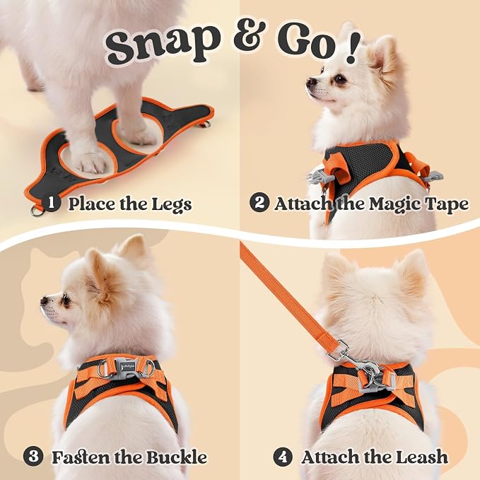 rabbitgoo Dog Harness Small Sized and Leash Set, Step in Soft Vest | Breathable Mesh, Easy Wear with Hook & Loop, Light and Reflective for Walking, Multi-colored, Black & Orange, S - Image 2