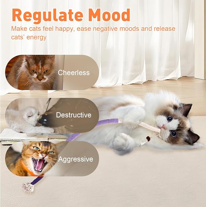 TEAWOO 6 PCS XL Cat Toys Chew Ropes, 27.56 Inches Cat Chew Rope Toy for Teeth Cleaning, Safe Catnip Toys for Cats Rope Chew Toy (6 Bags of Catnip Included) - Image 6