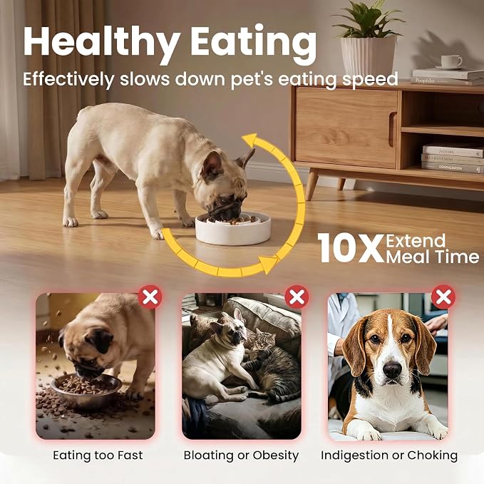 Ceramic Slow Feeder Dog Bowls 0.6 Cups for Small Fast Eaters,White | Reduces Bloating,6.02x1.38 Inch Dish For Daily Dog Meals, Maze Puzzle Slows Down Eating, Anti-Choking,9.0oz Water - Image 4