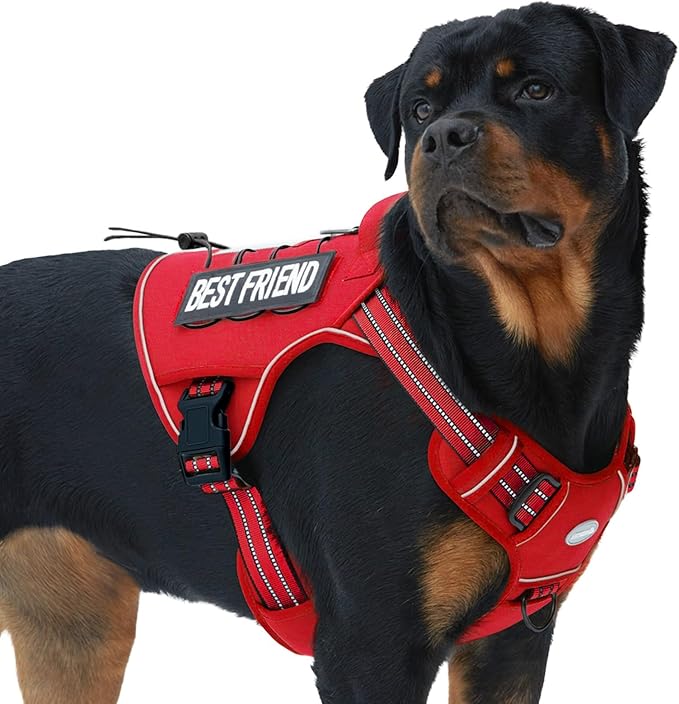 AUROTH Tactical Dog Harness for Large Dogs No Pull Adjustable Pet Harness Reflective K9 Working Training Easy Control Pet Vest Military Service Dog Harnesses Red XL | Easy Control Handle, Adjustable, Reflective, Military K9, for Doberman Husky Walking ... by AurothPets