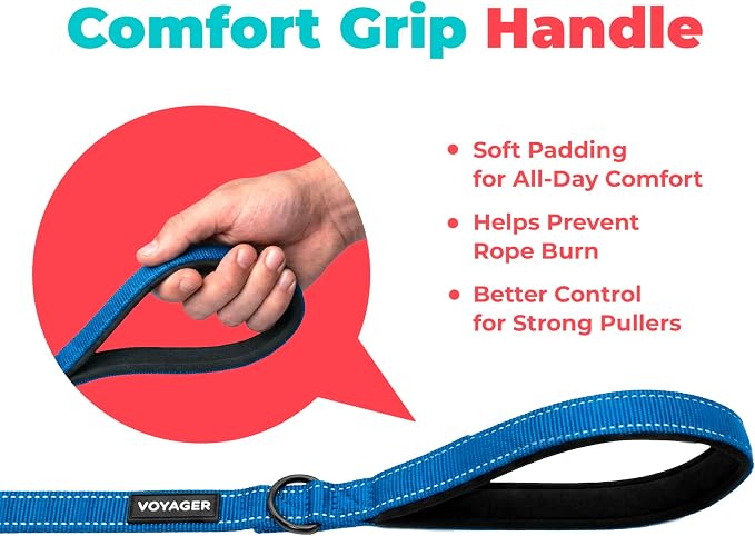 Best Pet Supplies Voyager Nylon Dog Leash - Royal Blue, Medium | 5ft in Length, 3/4" in Width, Reflective, Soft Neoprene Handle, Heavy Duty Metal Clips for Running, Walking & Training - Image 5