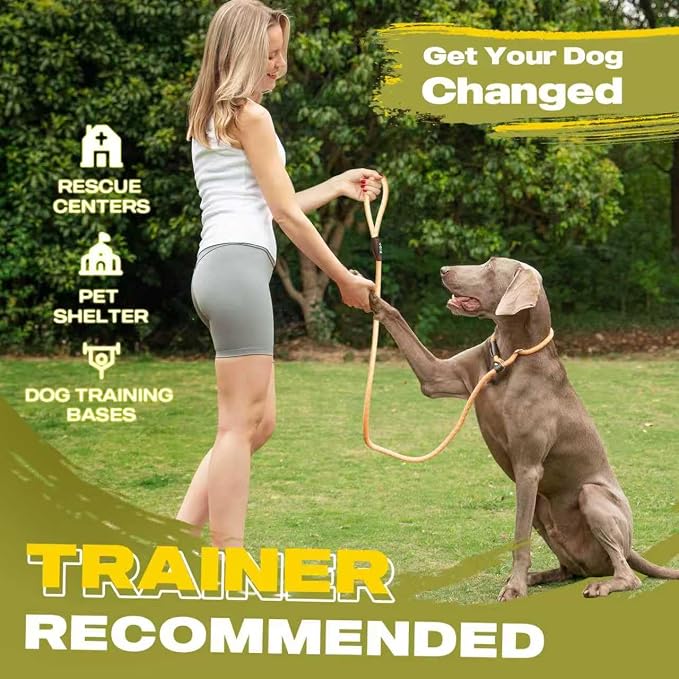 Fida Durable Slip Loop Lead for Large, Medium Dogs, 6 FT x 1/2" Heavy Duty, Comfortable Strong Rope, No Pull Pet Training Leash with Highly Reflective, Orange - Image 4