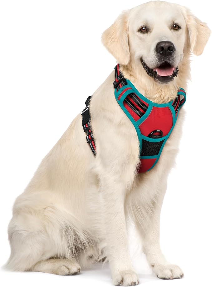 rabbitgoo Dog Harness, No Pull for Large Dogs with 2 Leash Clips, Pet Vest | No Choke with Handle, Adjustable Soft Padded, Reflective, Easy Control for Walking, Red & Teal, X-Large by rabbitgoo