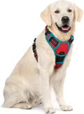 rabbitgoo Dog Harness, No Pull for Large Dogs with 2 Leash Clips, Pet Vest | No Choke with Handle, Adjustable Soft Padded, Reflective, Easy Control for Walking, Red & Teal, X-Large by rabbitgoo